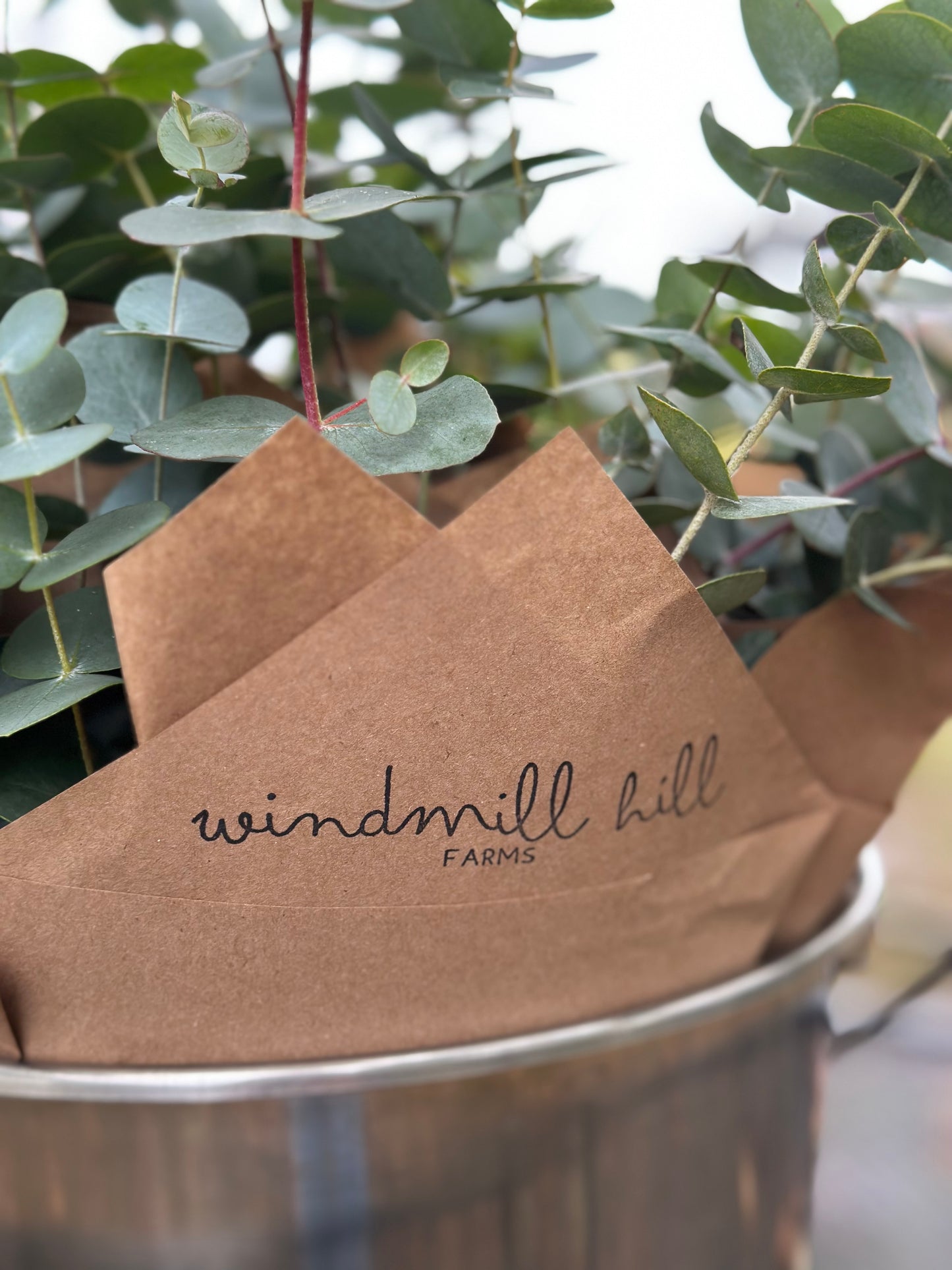 Eucalyptus Subscription