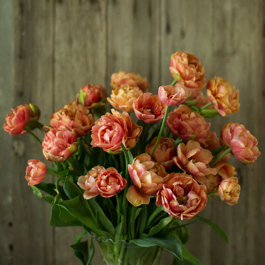 Tulip - Copper Image