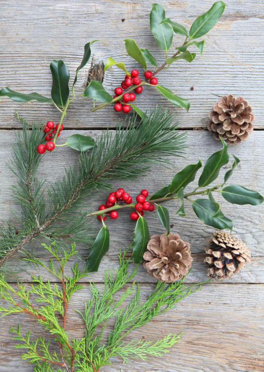 Holiday Greenery Bundle